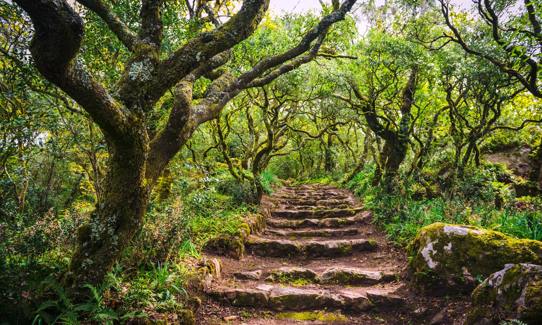 Location in Portugal